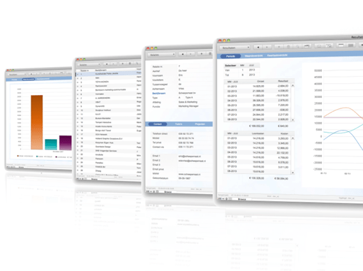 FileMaker Customer screen